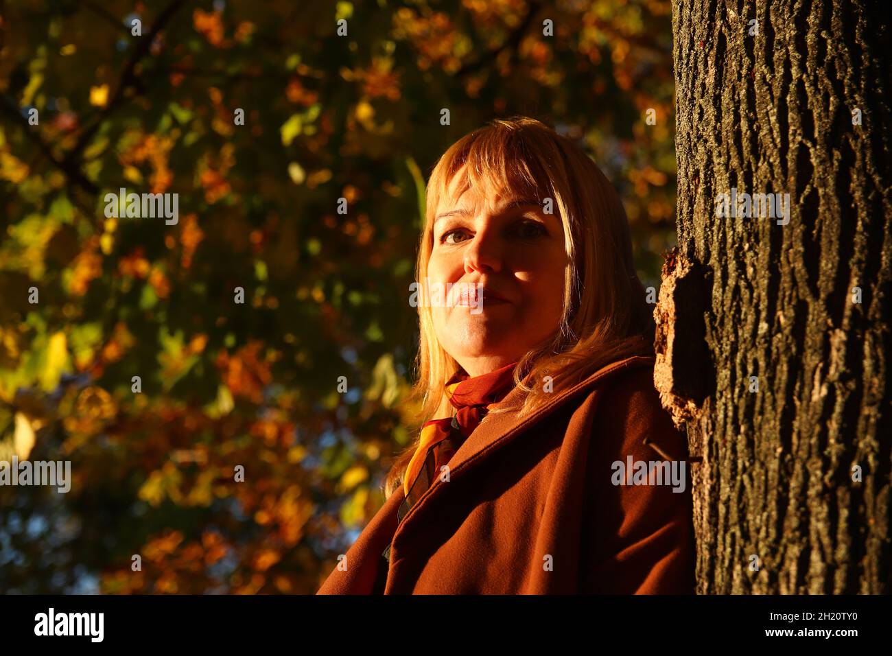 Portrait of pretty Caucasian blonde woman in colorful dark maple autumn park. Bright stylish woman in coat near tree trunk. Hello fall concept Stock Photo