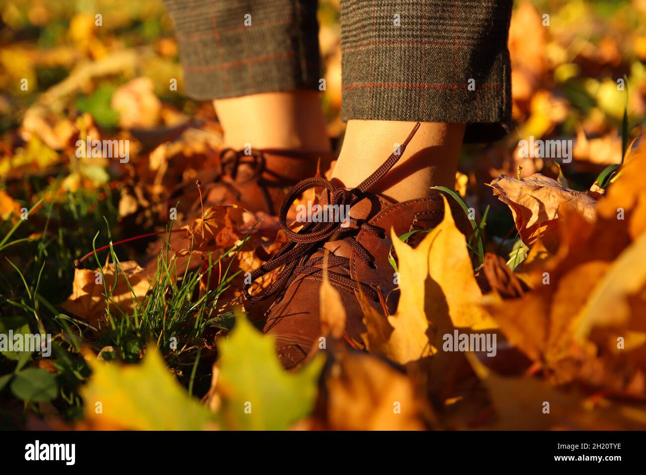 https://c8.alamy.com/comp/2H20TYE/close-up-female-foot-in-capri-pants-and-brogues-shoes-on-dry-autumn-bright-leaves-background-bright-stylish-woman-in-orange-coat-walking-in-october-2H20TYE.jpg