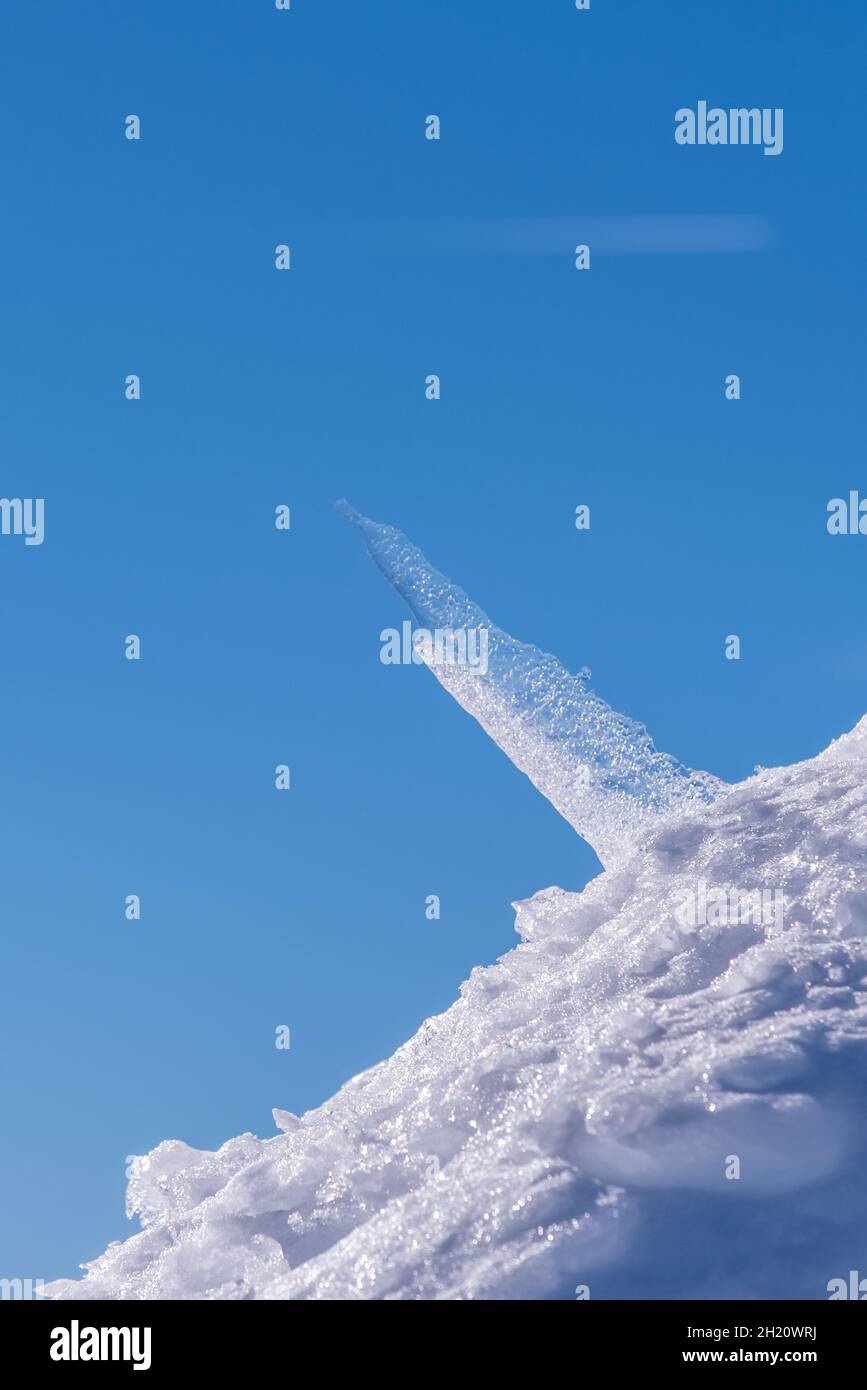 A piece of frost sticking out of the white snow with a clear blue sky background Stock Photo