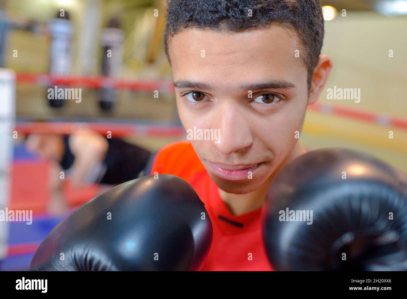 Young male boxer knocked out hires stock photography and images Alamy