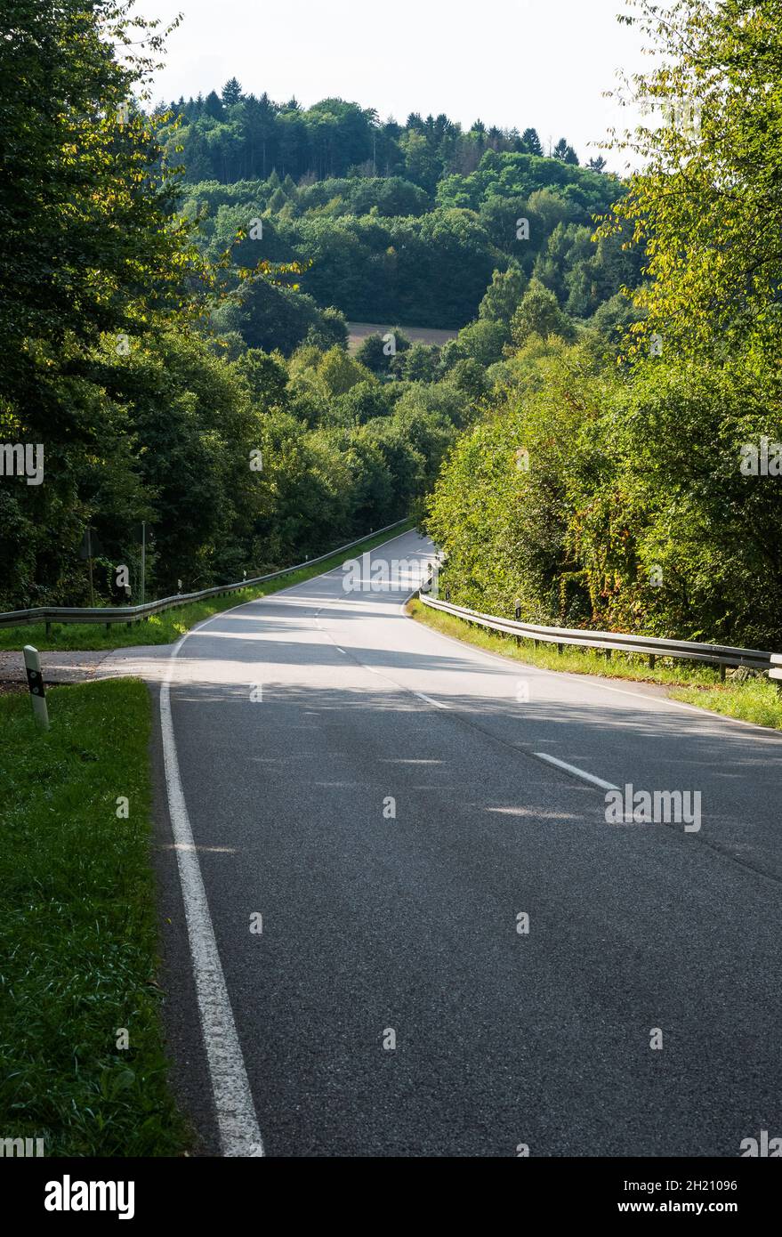 Vertical shot of a narrow road surrounded by trees and greenery Stock ...