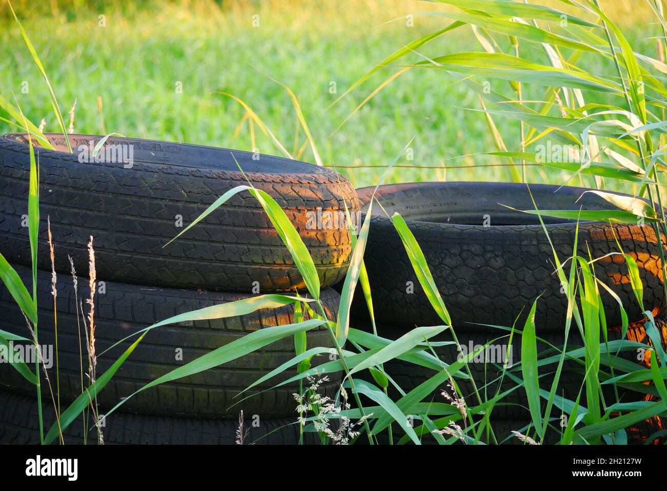 stacked old car tires as environmental pollution in nature stand in