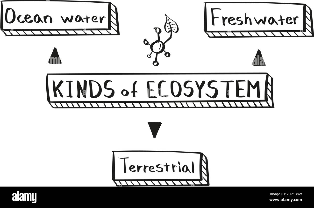 Concept kinds of ecosystem mind map in handwritten style Stock Vector