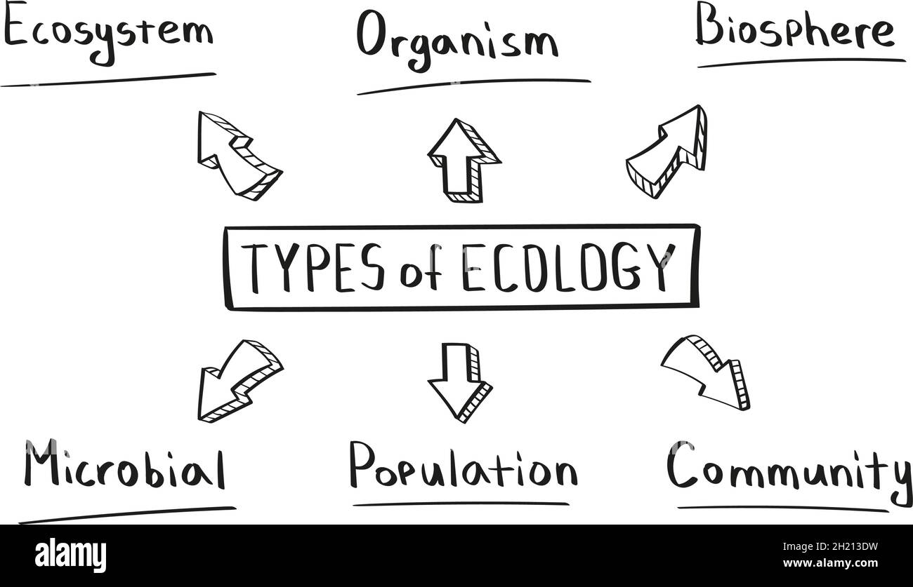 Concept of types of ecology mind map in handwritten style Stock Vector