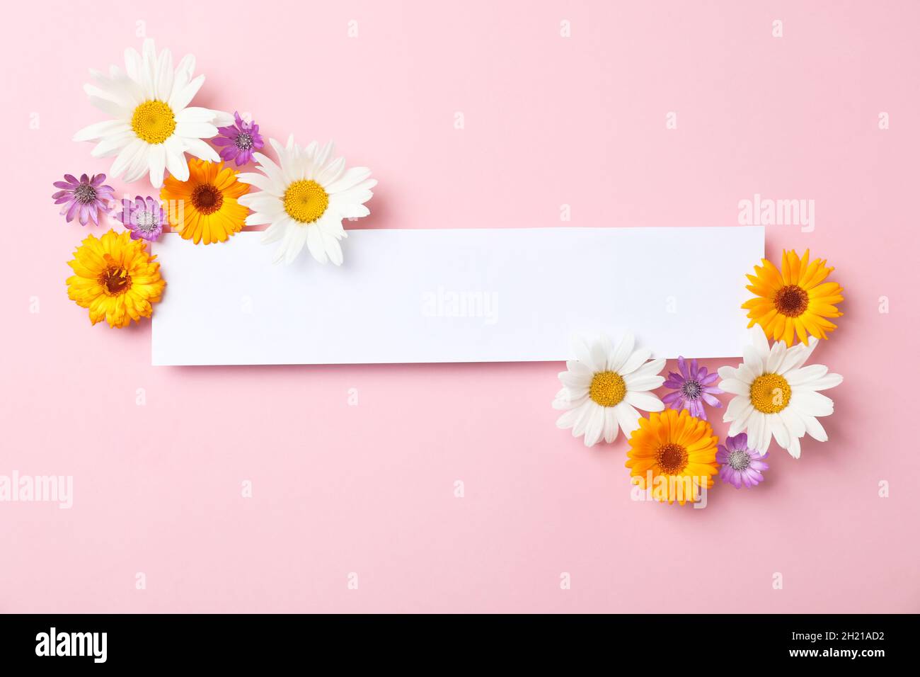 Flat lay composition with wild flowers on color background Stock Photo