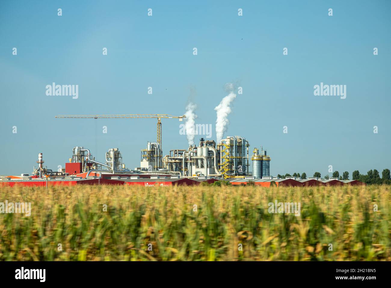 Mesmerizing shot of a factory with smoke coming out of the pipes in the middle of a forest Stock Photo