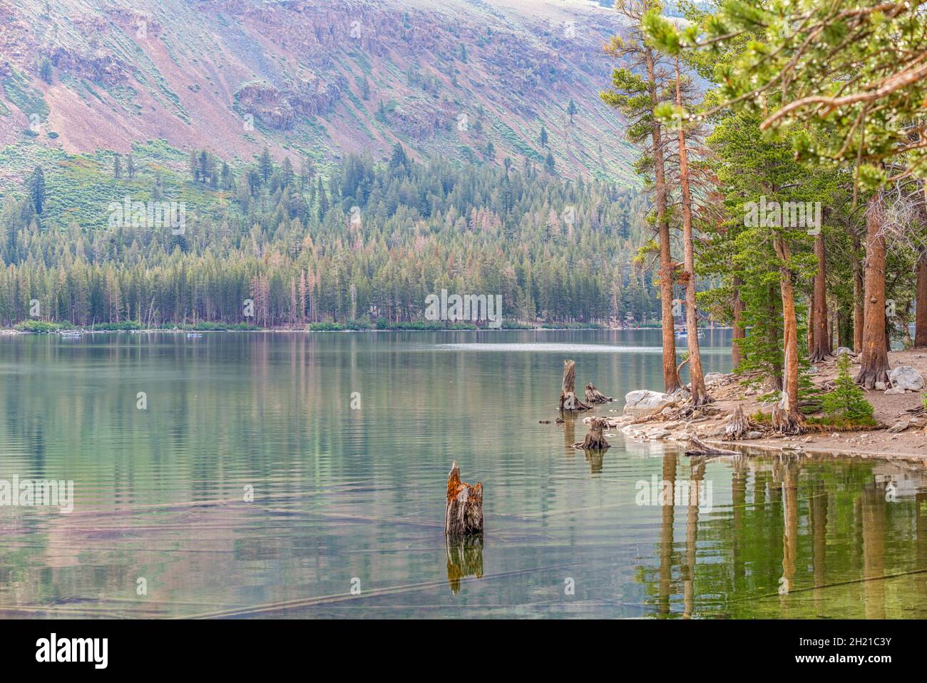 Lake mary mammoth hires stock photography and images Alamy
