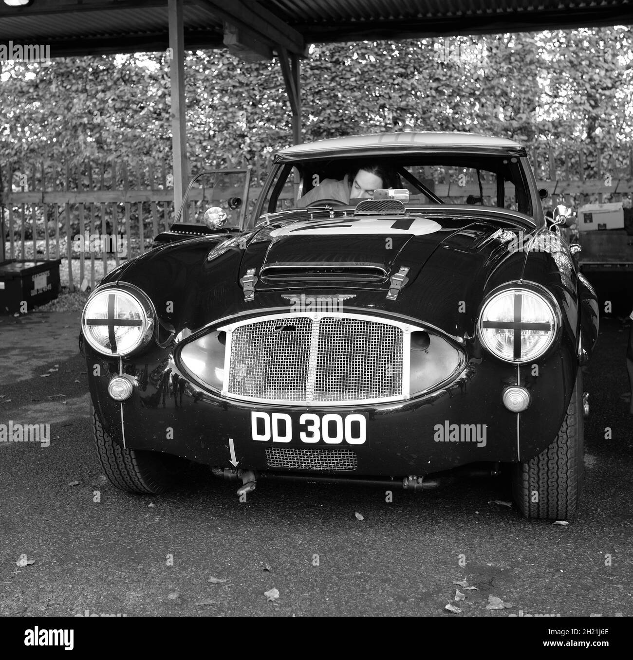 Austin Healy High Resolution Stock Photography and Images - Alamy