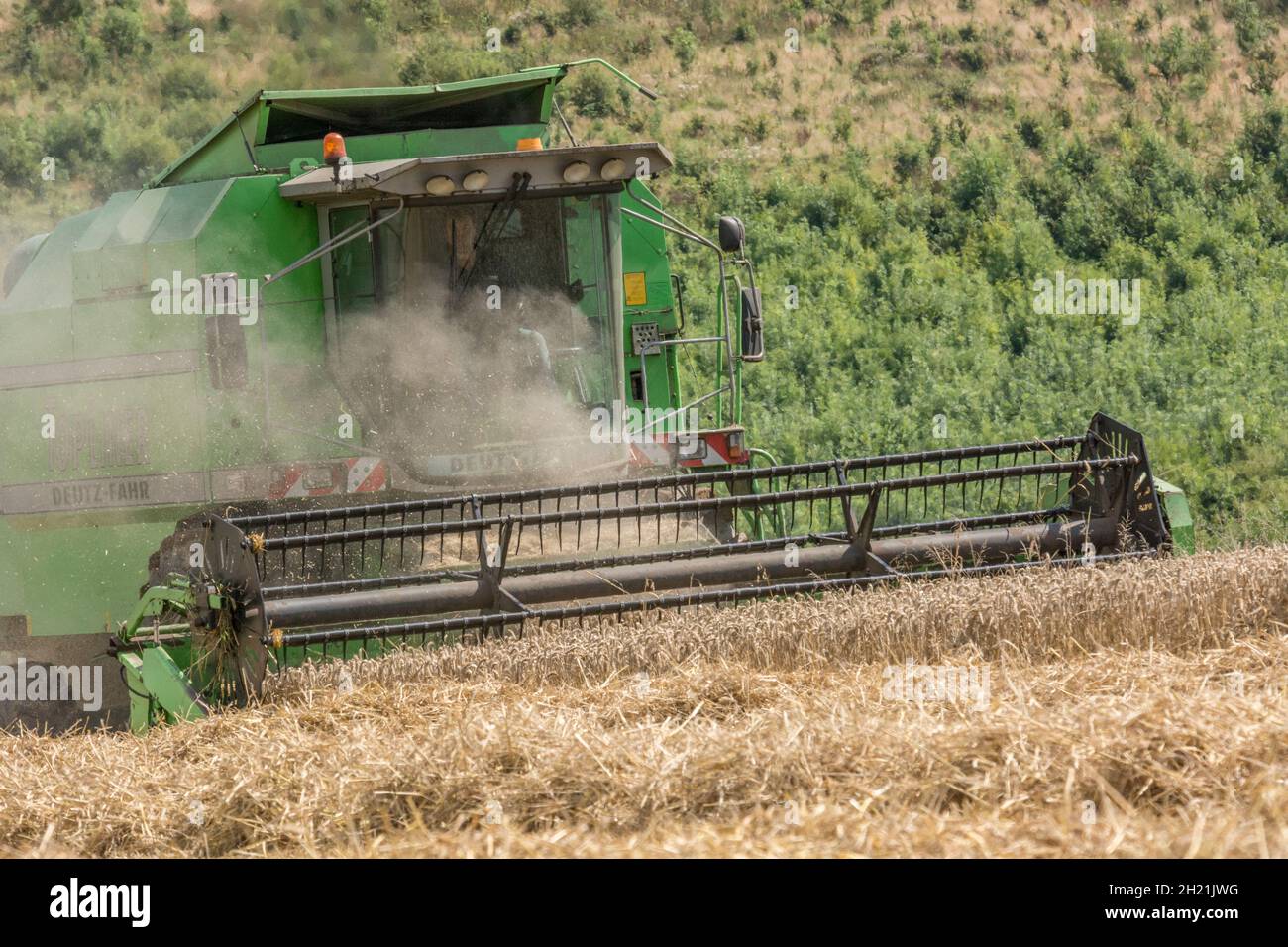 Combine harvester cutting ripe wheat crop - on sloping ground / field. Metaphor food security / growing food, UK farming and agriculture, wheat supply Stock Photo