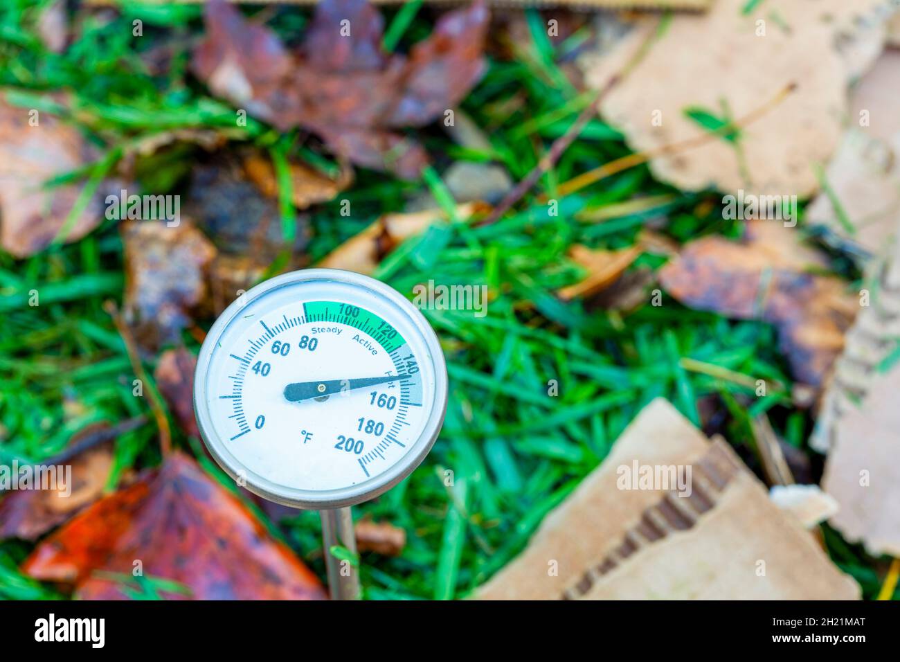 a metal compost thermometer inserted into a pile of composting material. nitrogen and carbon containing mixture of leaves, lawn clippings and cardboar Stock Photo