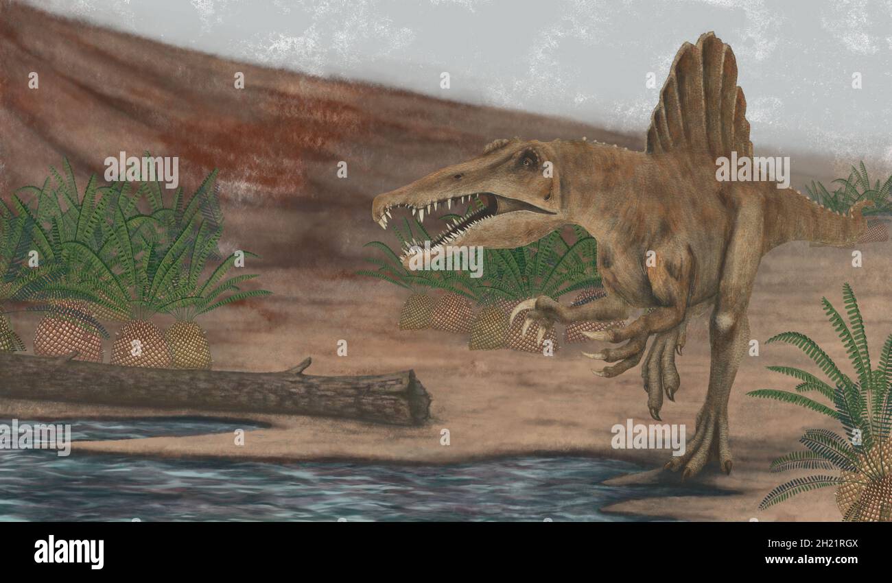 Scientist illustration, spinosaurus on cretaceous landscape. Prehistoric recreation. Stock Photo