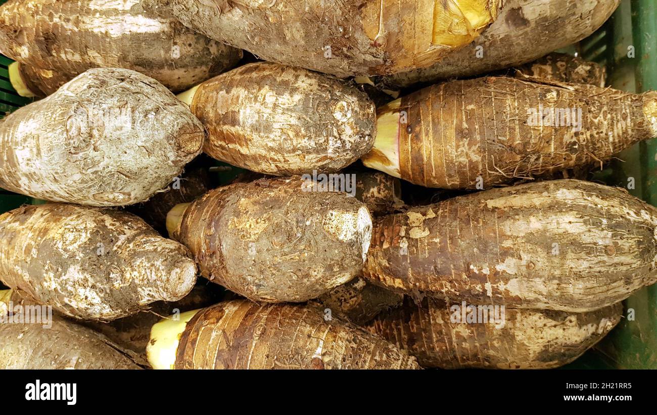 Taro are arranged in a row for sale in a grocery store Stock Photo Alamy