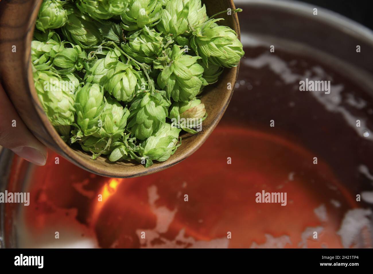 Adding fresh green hops to beer wort in pot, closeup Stock Photo Alamy