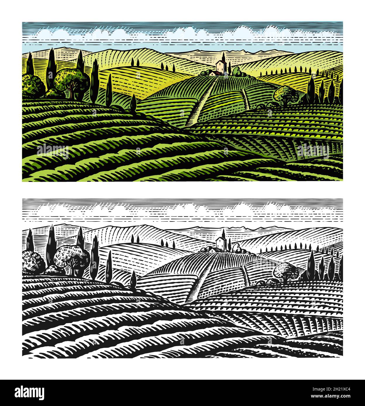 Scenic view of vineyards. Fields and hills of Tuscany. Panoramic vine plantation in Chianti. French or Italian engraved landscape. Hand drawn Stock Vector