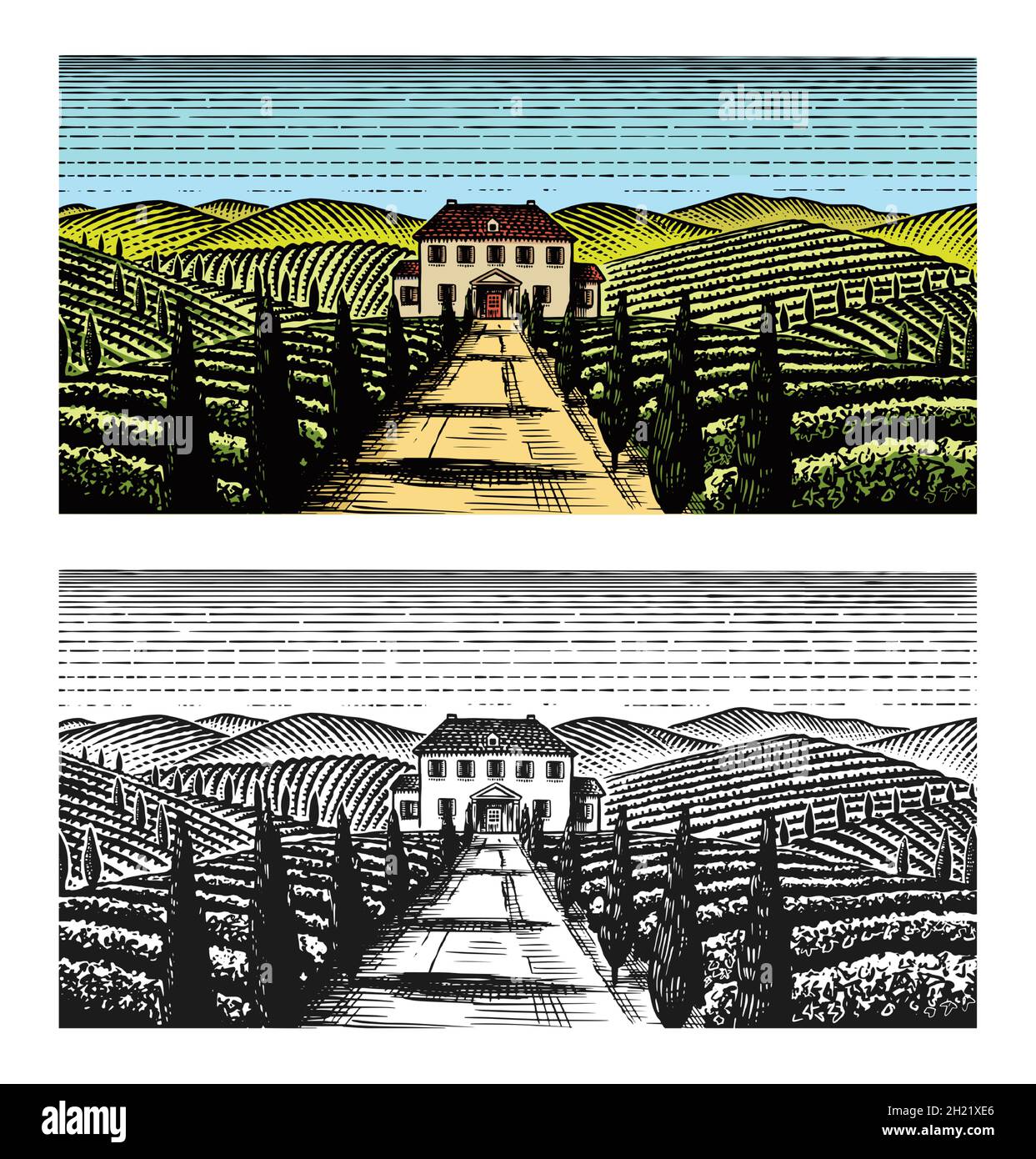 Scenic view of vineyards. Fields and hills of Tuscany. Panoramic vine plantation iand the road to the village house. French or Italian engraved Stock Vector