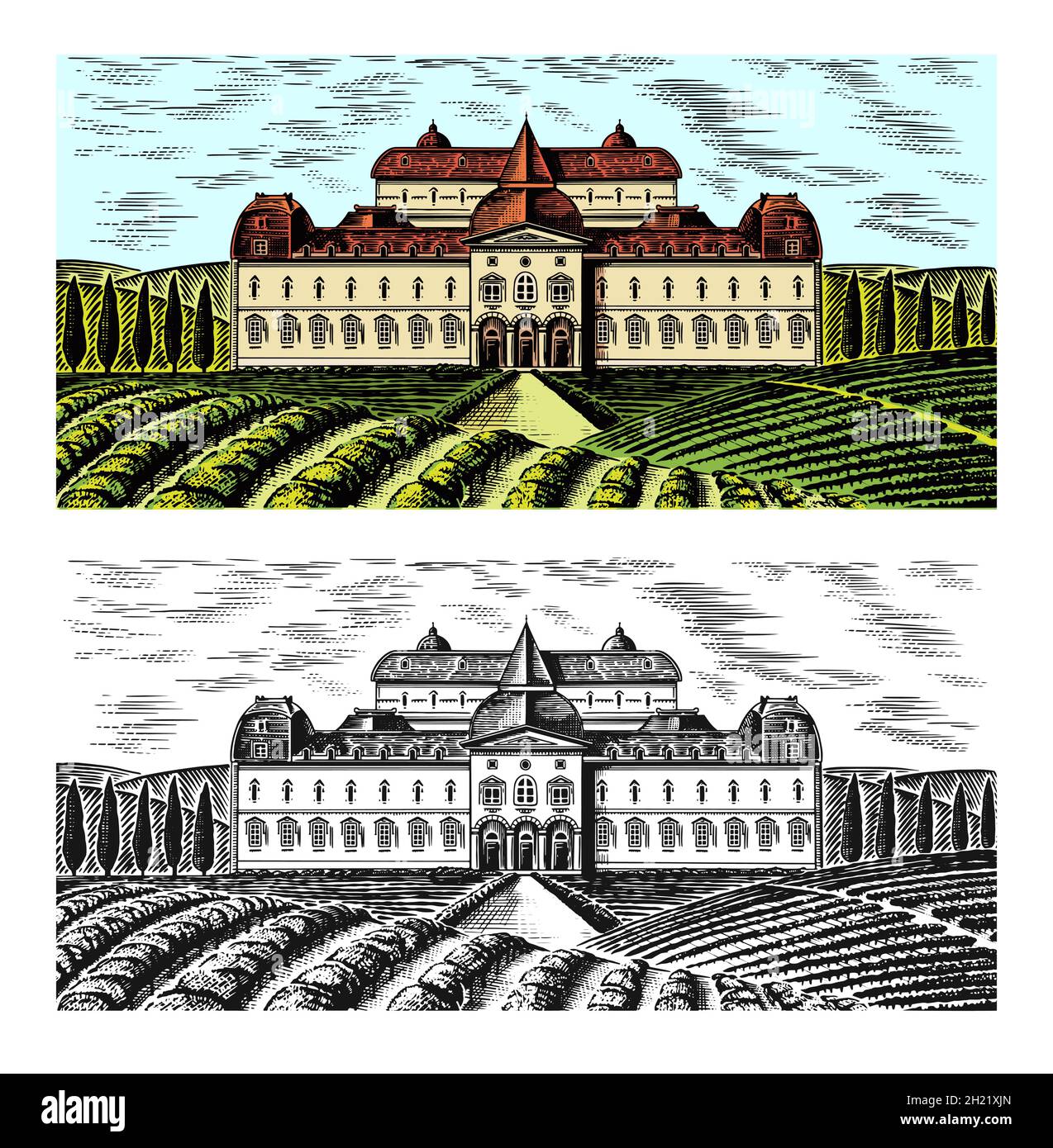 Scenic view of vineyards. Fields and hills of Tuscany. Panoramic vine plantation and a castle or palace. French or Italian engraved landscape. Hand Stock Vector