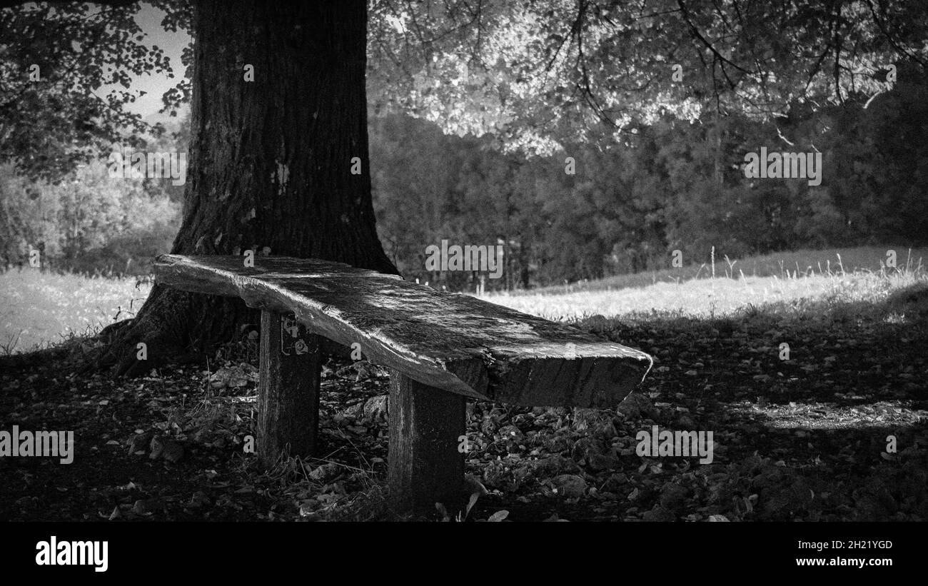 Grayscale shot of a bench in a park Stock Photo