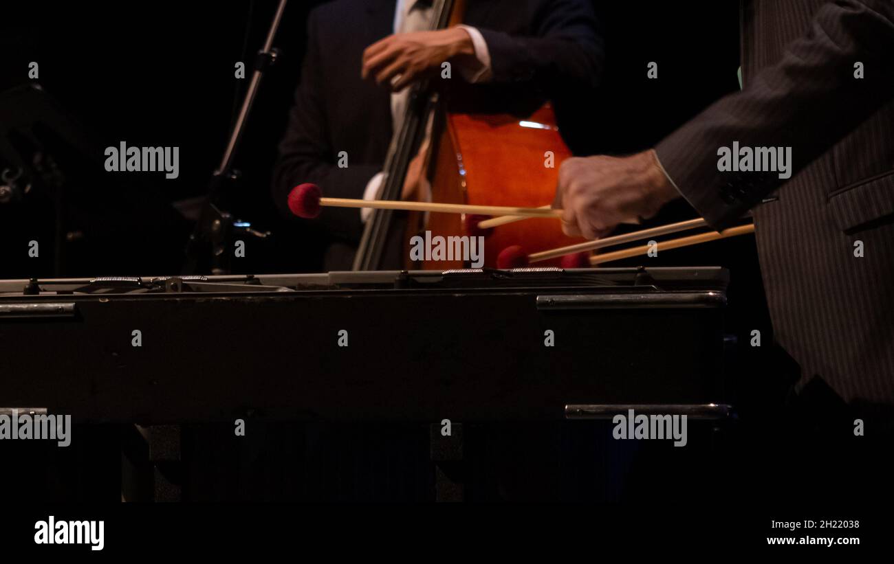 Male playing marimba in an orchestra Stock Photo Alamy