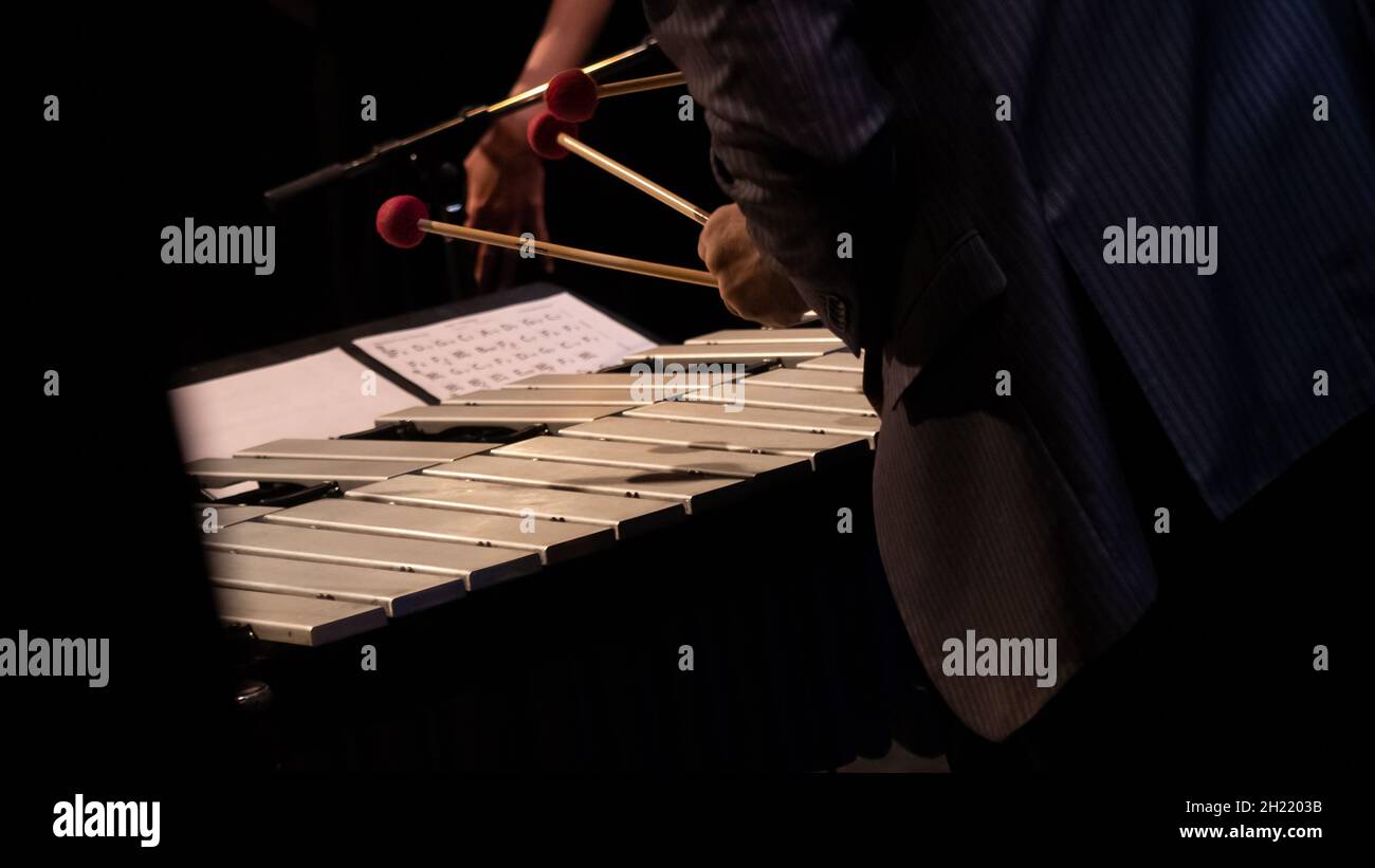 Male playing marimba in an orchestra Stock Photo Alamy