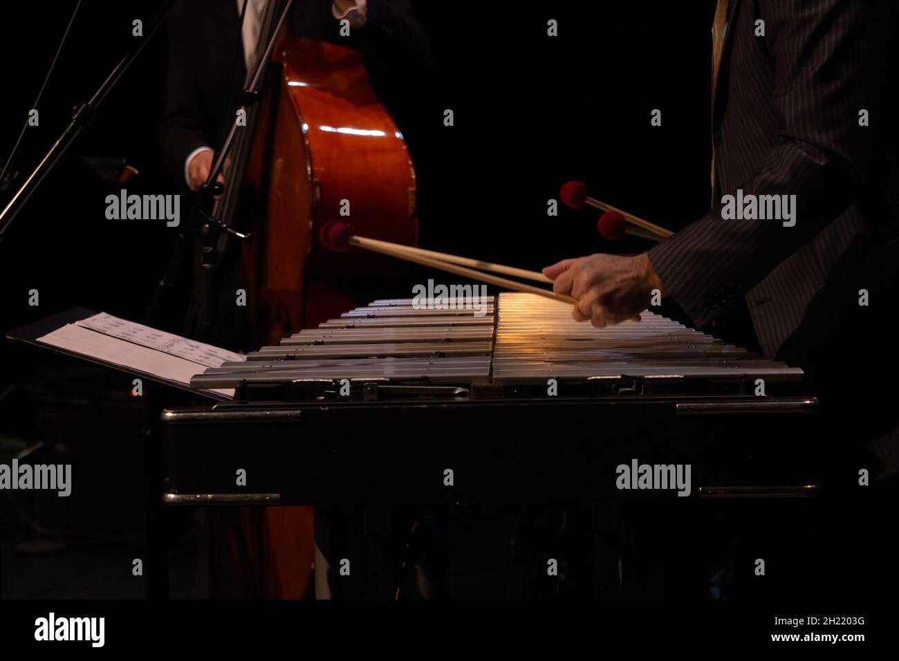 Male playing marimba in an orchestra Stock Photo Alamy