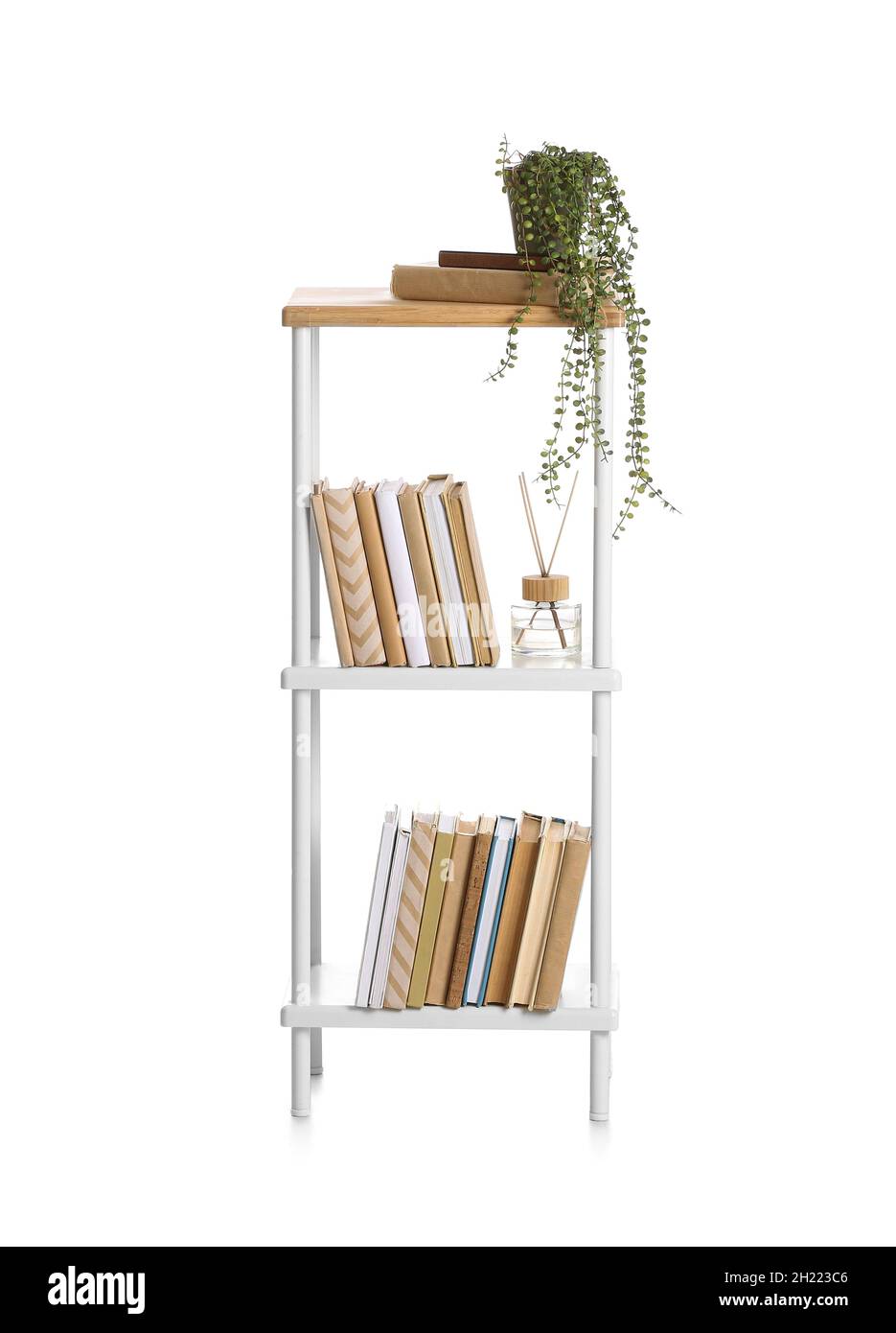 Modern bookcase with houseplant and reed diffuser on white background Stock Photo Alamy