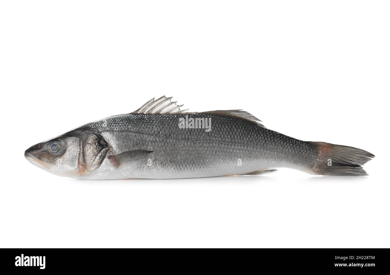 Fresh uncooked sea bass fish on white background Stock Photo - Alamy