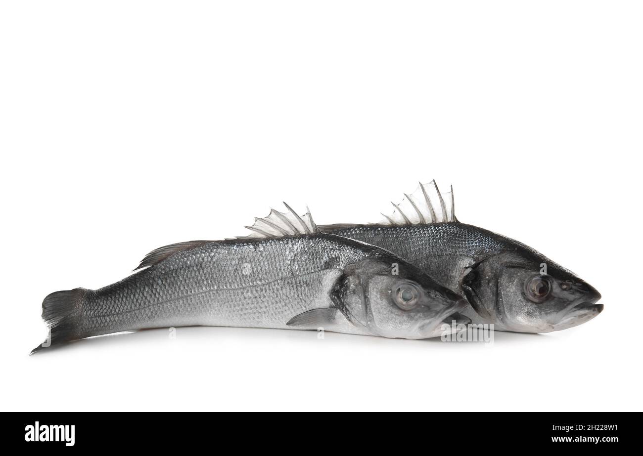 Fresh uncooked sea bass fish on white background Stock Photo - Alamy