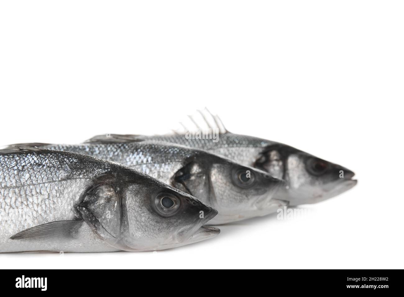 Fresh uncooked sea bass fish on white background, closeup Stock Photo ...