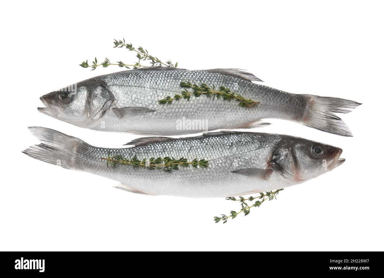 Fresh uncooked sea bass fish on white background Stock Photo - Alamy