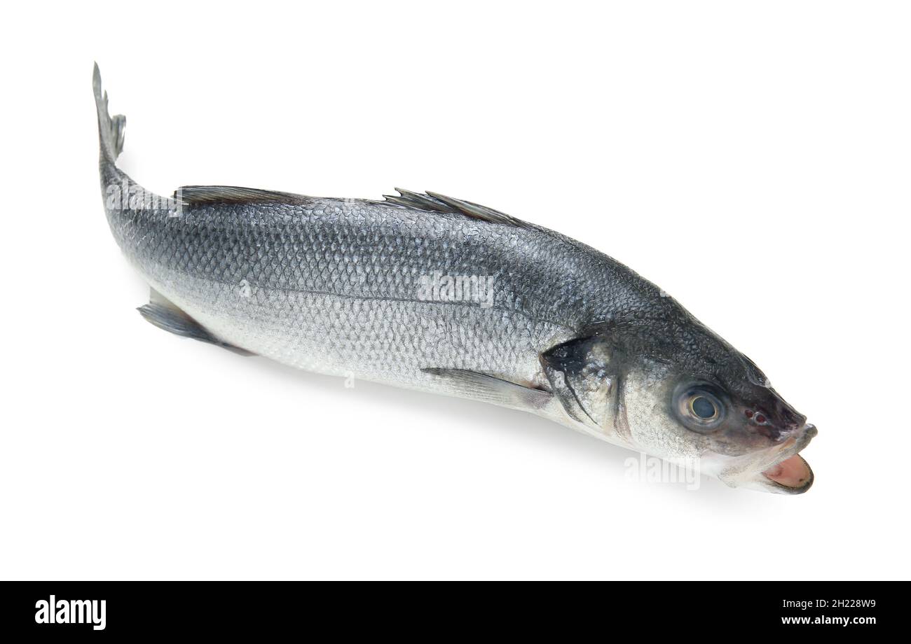 Fresh uncooked sea bass fish on white background Stock Photo - Alamy