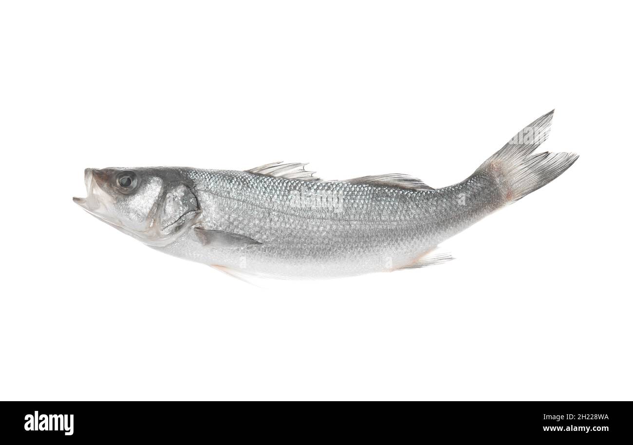 Fresh uncooked sea bass fish on white background Stock Photo - Alamy