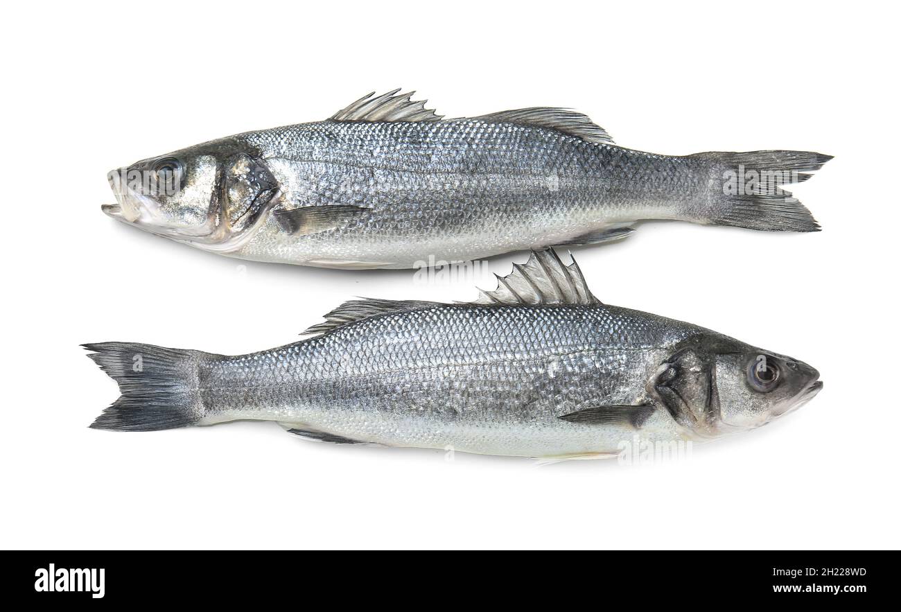 Fresh uncooked sea bass fish on white background Stock Photo - Alamy