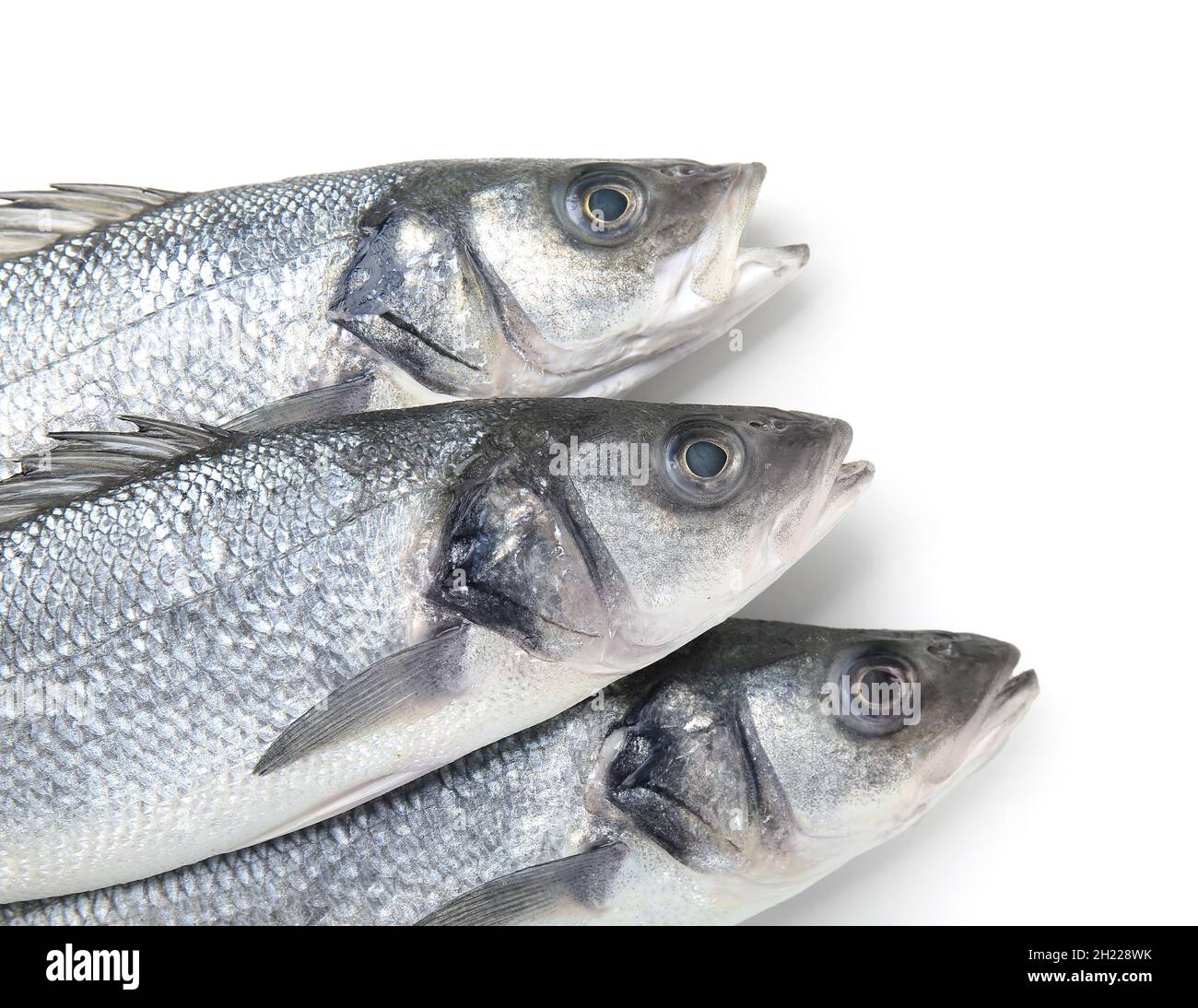 Fresh uncooked sea bass fish on white background, closeup Stock Photo ...