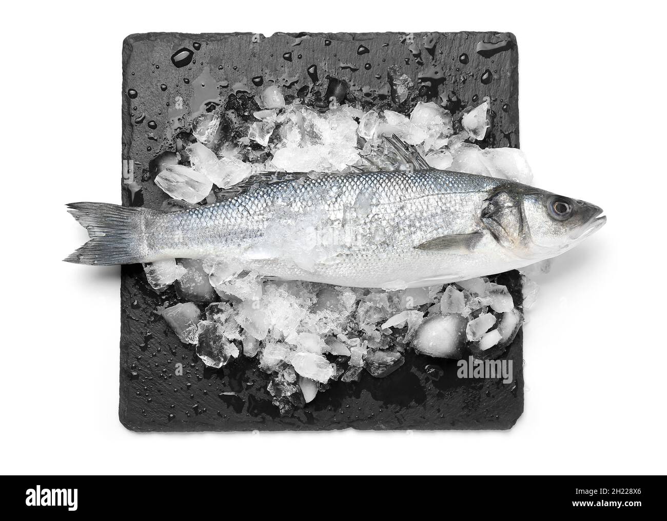 Board with fresh uncooked sea bass fish on white background Stock Photo ...