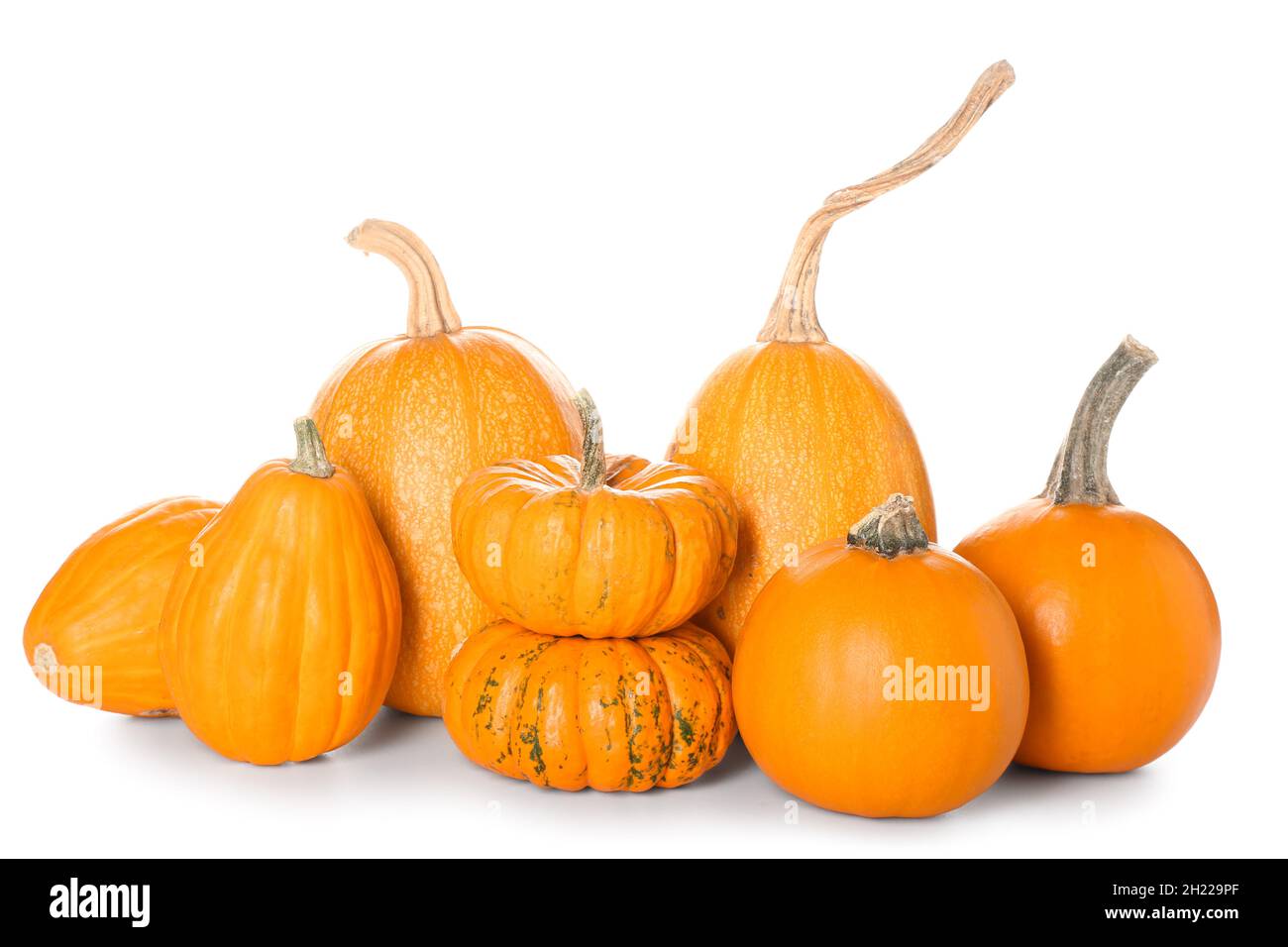 Whole fresh pumpkins isolated on white background Stock Photo - Alamy