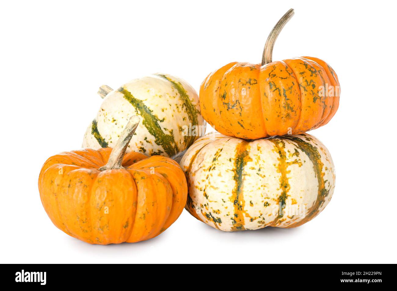 Whole fresh pumpkins isolated on white background Stock Photo - Alamy