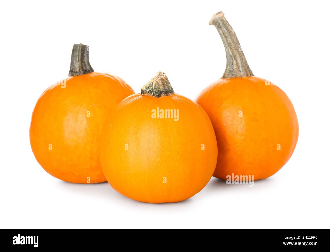 Whole fresh pumpkins isolated on white background Stock Photo - Alamy
