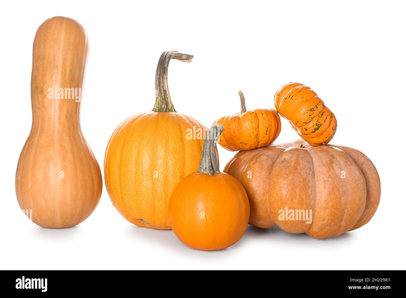 Whole fresh pumpkins isolated on white background Stock Photo - Alamy