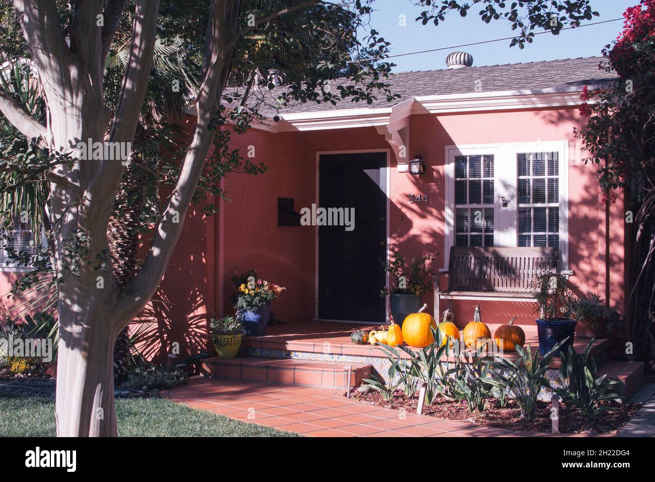 Beautiful pink cottage with terracotta tiled stoop containing a row of handsome orange pumpkins of various sizes. Stock Photo
