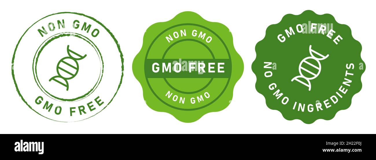 non GMO free no genetically modified organism set emblem sticker tag badge symbol in green vector Stock Vector