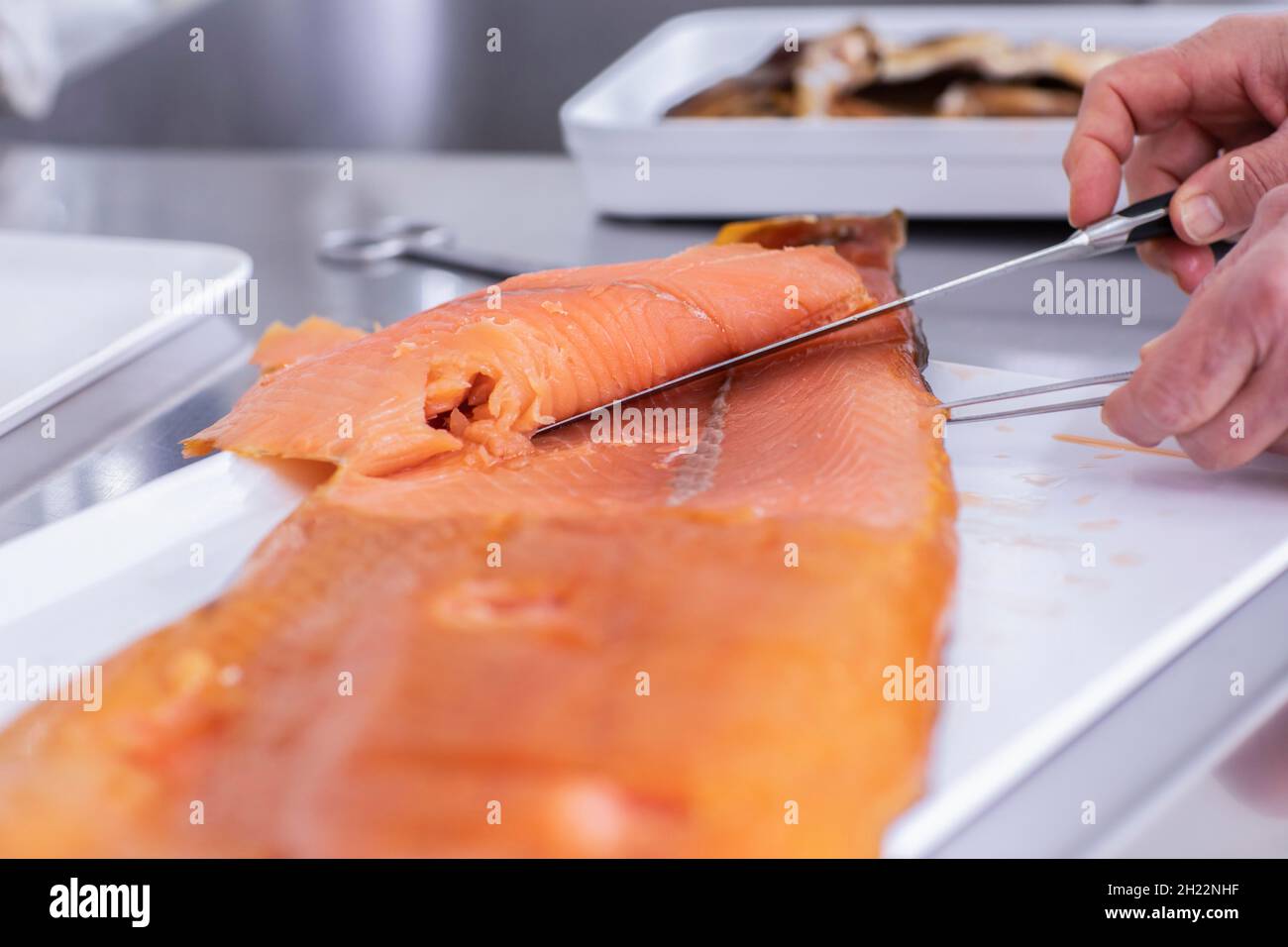 Fish dissection hi-res stock photography and images - Alamy