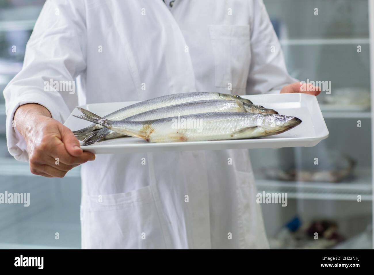 Fish for laboratory evaluation in a laboratory for the control of food ...