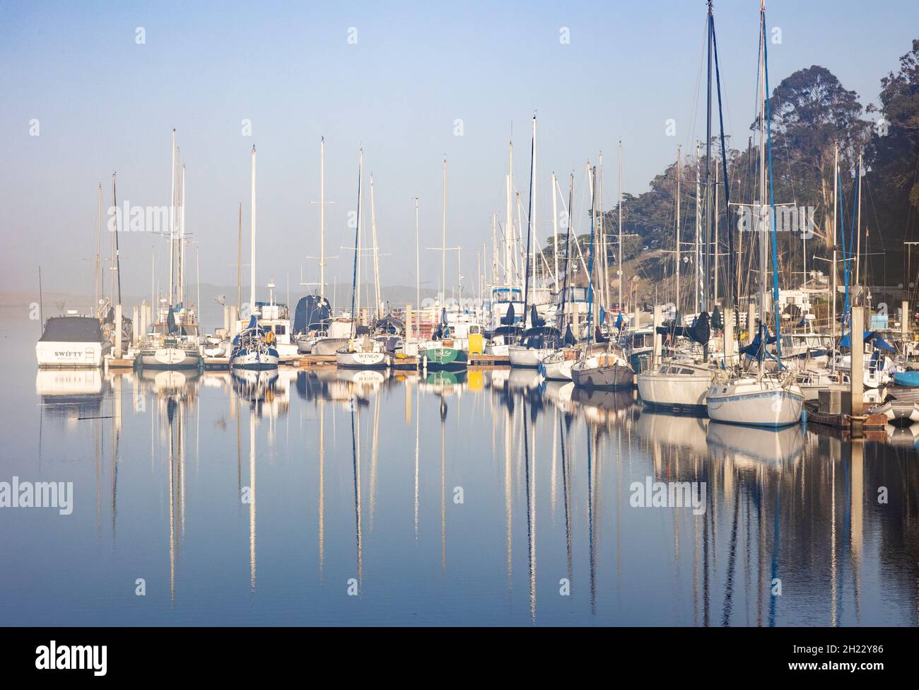 Marine weather morro bay