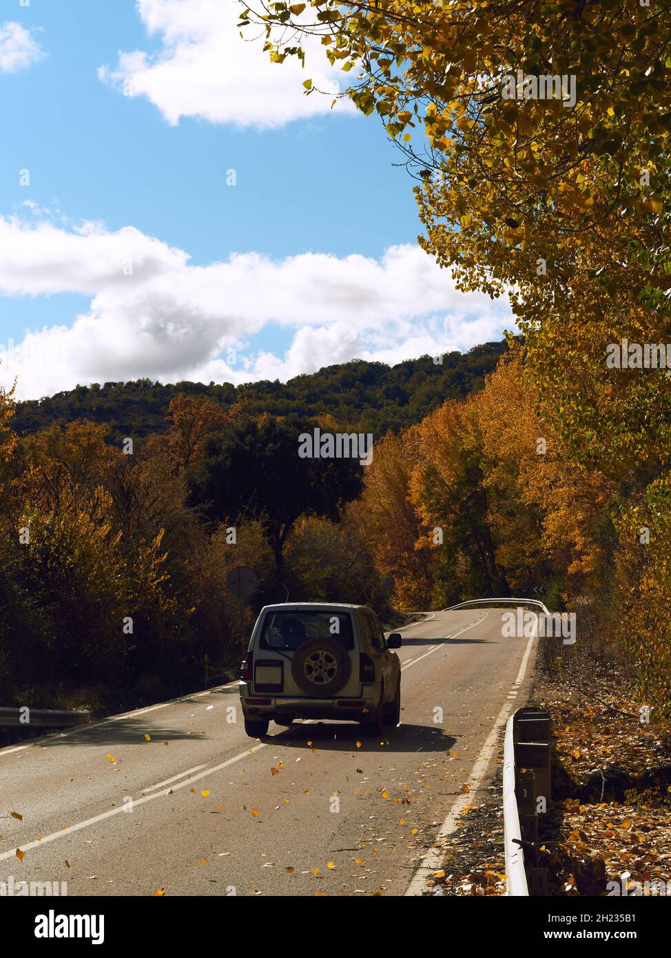 Vertical shot of a car driving on a curvy road surrounded by forests in ...