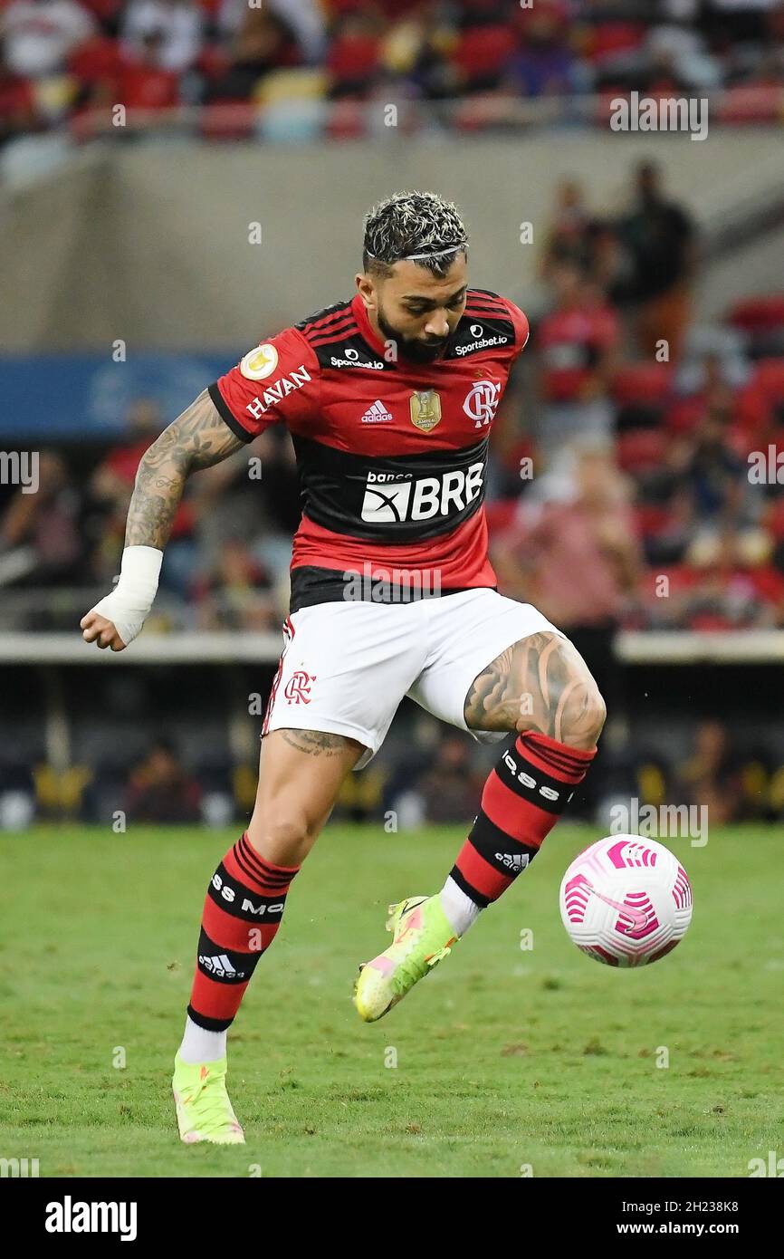 Of flamengo hi-res stock photography and images - Page 17 - Alamy