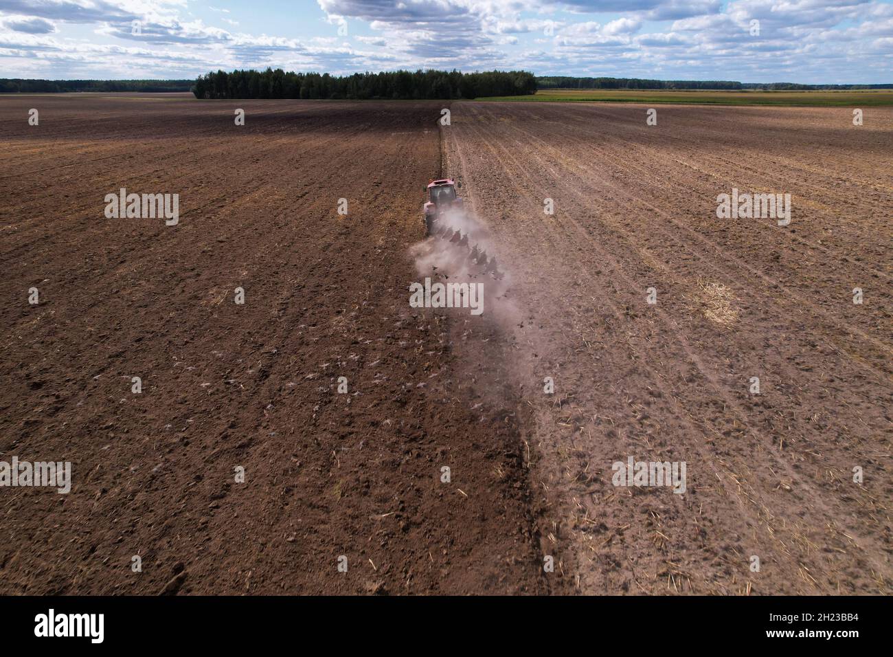 Hungry birds are flying behind a tractor with a plow in search of food. Stock Photo