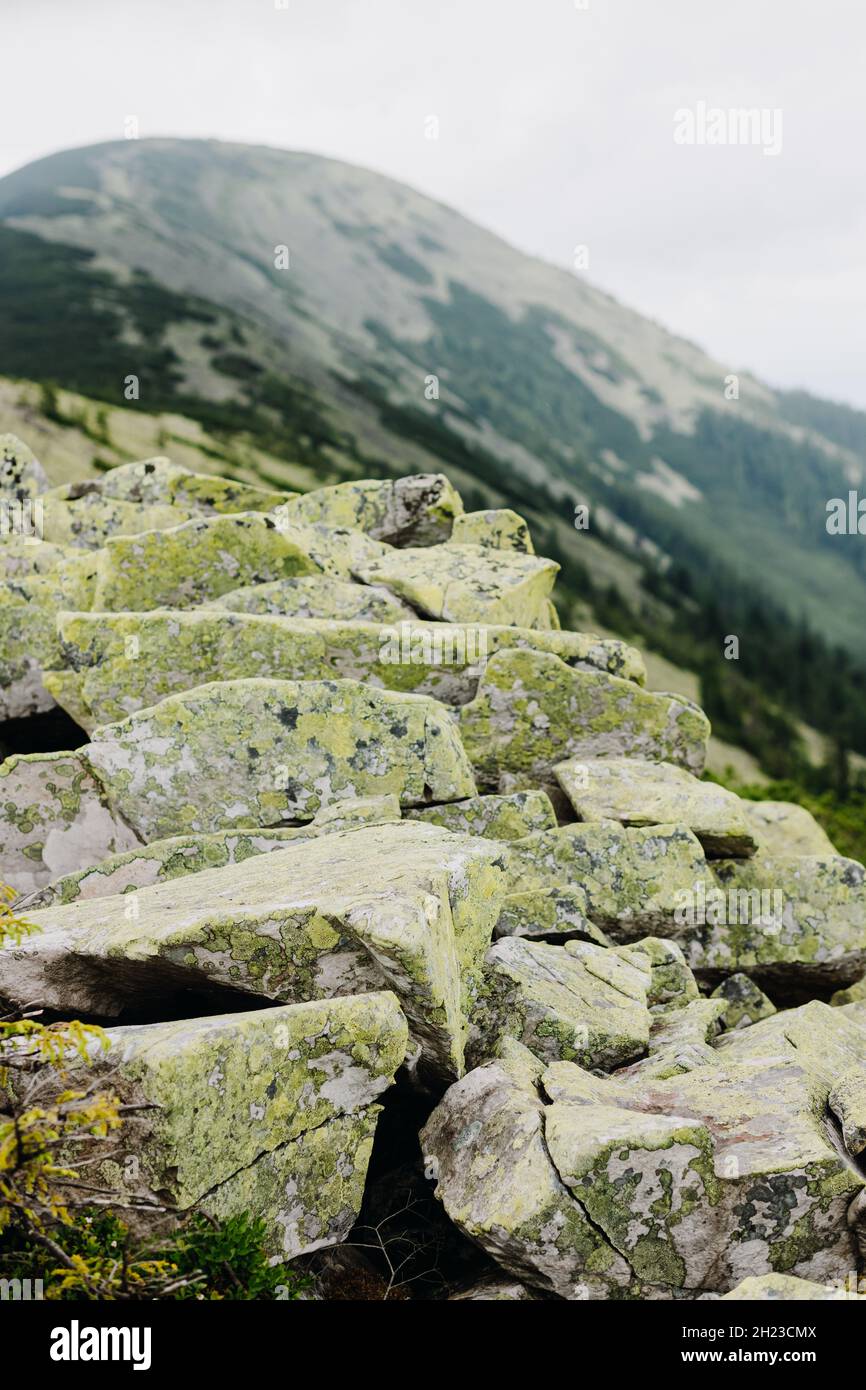 Air stones hi-res stock photography and images - Alamy