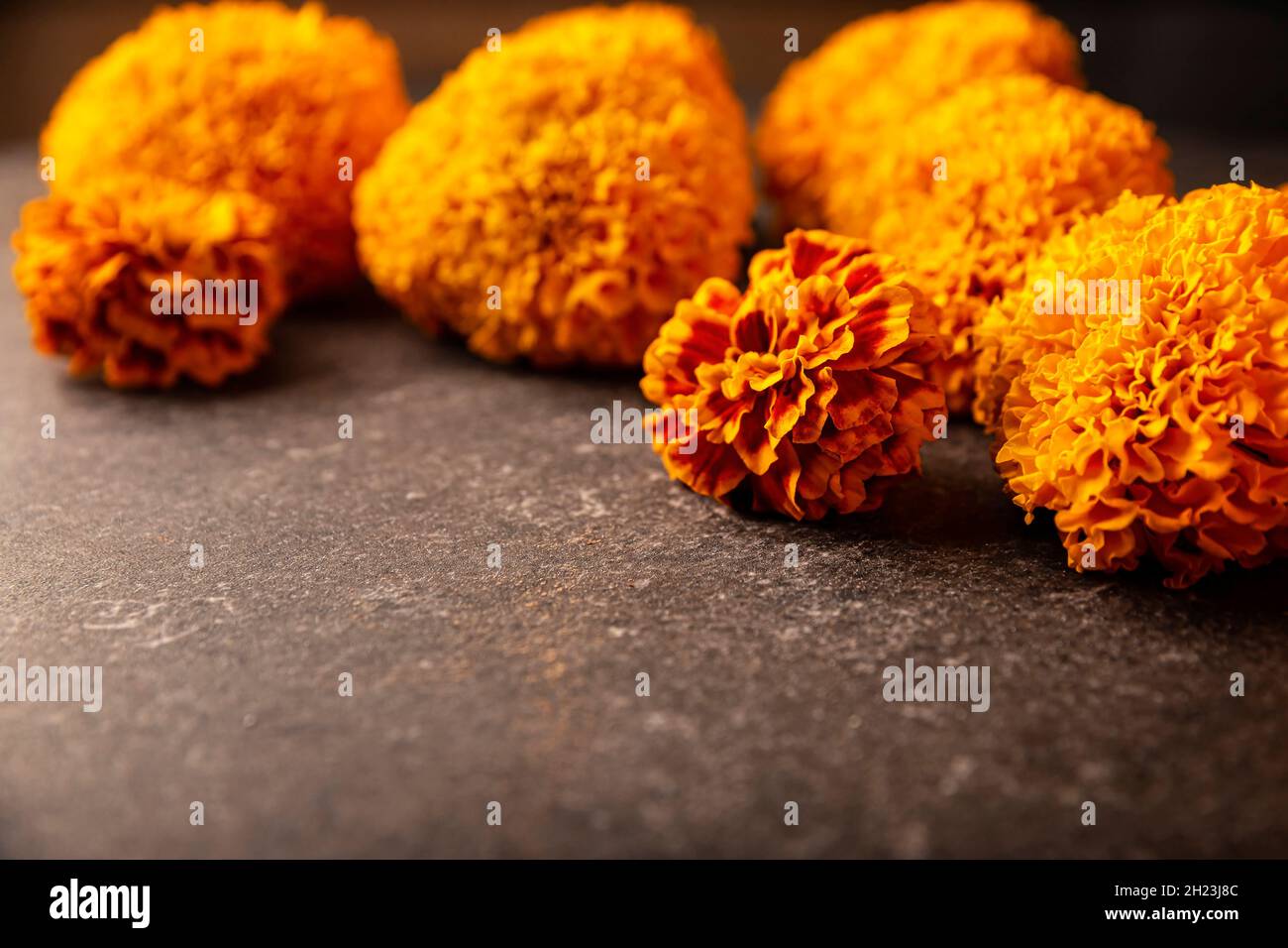 Cempasuchil orange flowers or Marigold. (Tagetes erecta) Traditionally used  in altars for the celebration of the day of the dead in Mexico Stock Photo  - Alamy