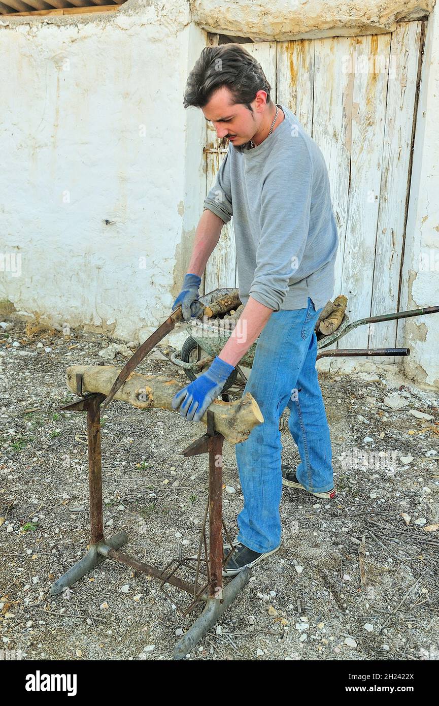 Lumberjack cutting firewood in rural village, with manual saw Stock
