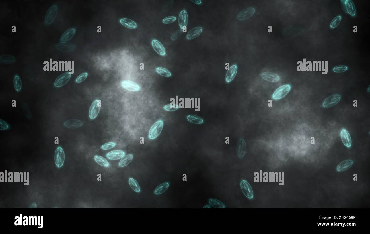 Bacteria microscope pond water hi-res stock photography and images - Alamy